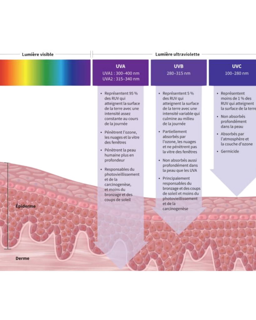 UVA UVB UVC : comprendre la protection solaire