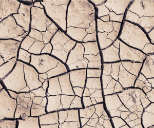 SOS peau en détresse : comment retrouver une peau de pêche grâce au pouvoir des actifs hydratants.