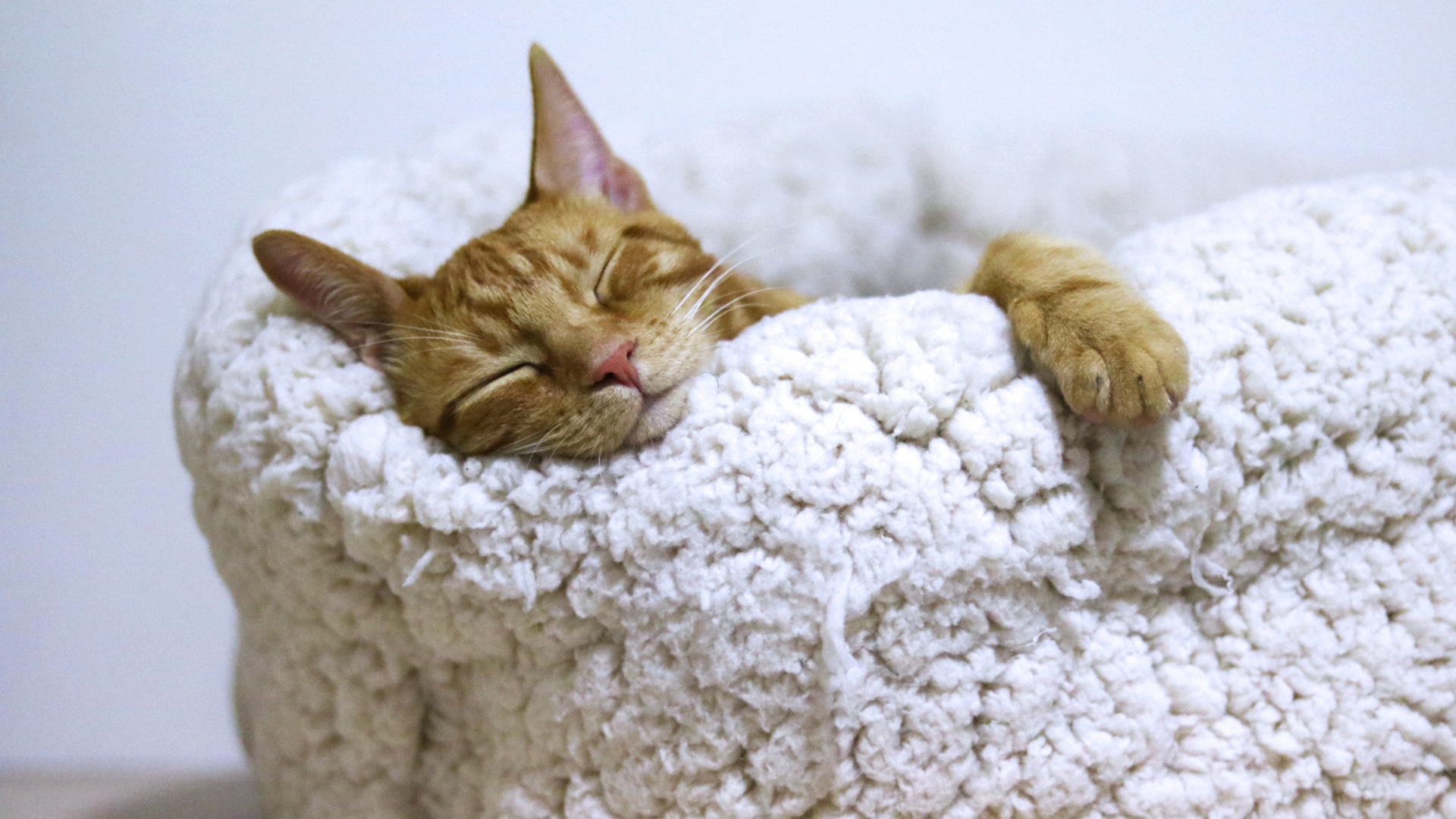 Retrouver le Sommeil : Les 12 Commandements essentiels (partie 2)